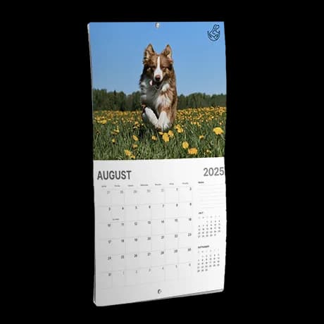 Wandkalenders in de rug geniet