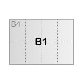 B1