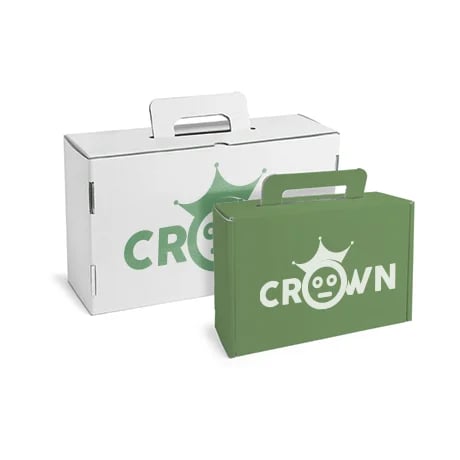 Valises en carton