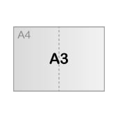 A3 (42 x 29,7 cm)