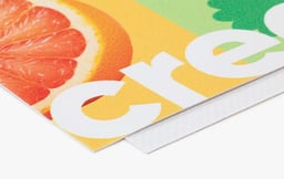 Banner 510