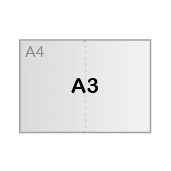 A3 (29,7 x 42 cm)