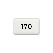 Papier recyclé 170 g