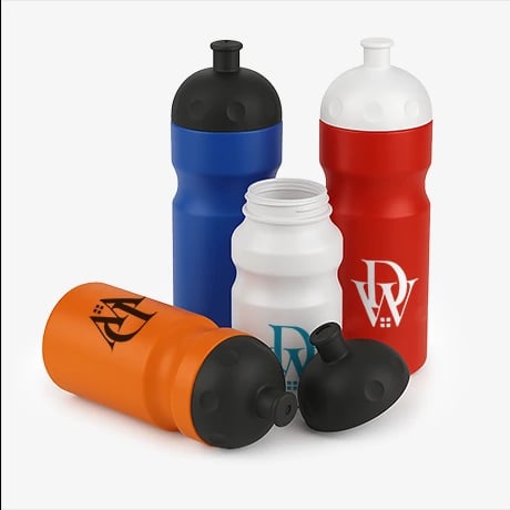 Gourde de sport classique personnalisée avec logo